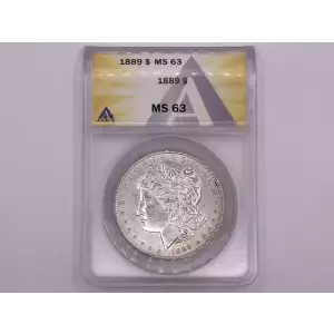 Morgan Silver Dollar (2)