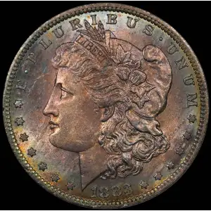 Morgan Silver Dollar