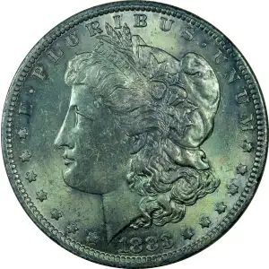 Morgan Silver Dollar (4)