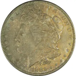 Morgan Silver Dollar (2)