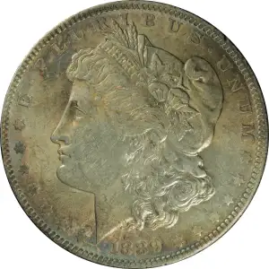 Morgan Silver Dollar (4)