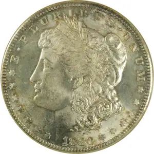 Morgan Silver Dollar (4)